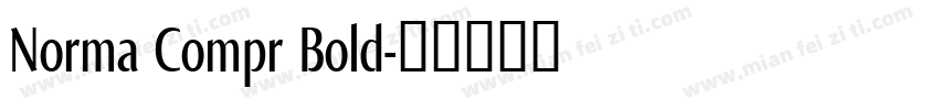 Norma Compr Bold字体转换